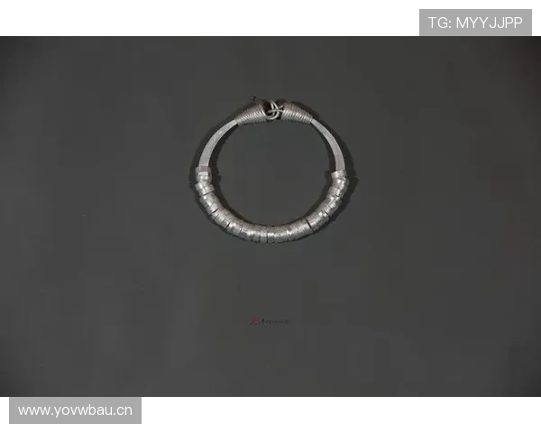 孔令辉深夜遛狗那张照里，狗戴的项圈比我结婚戒指还贵